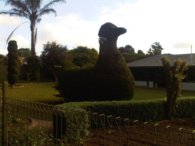 Giant duck