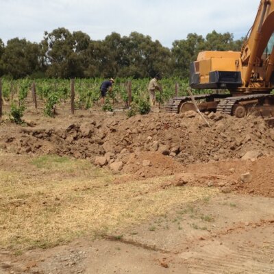 More excavator with Darcy and Spence in background