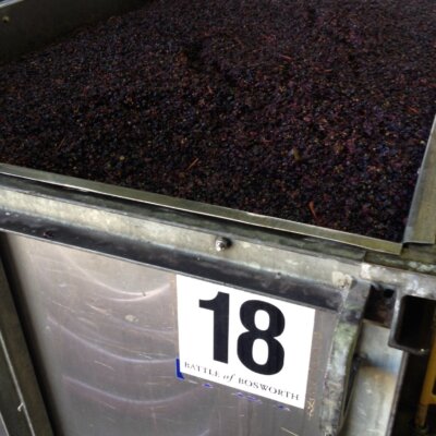 PN ferment