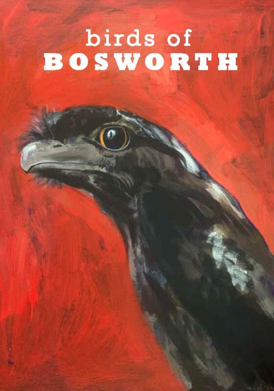 Birds of Bosworth Exhibition for SALA Art Festival at Battle of Bosworth