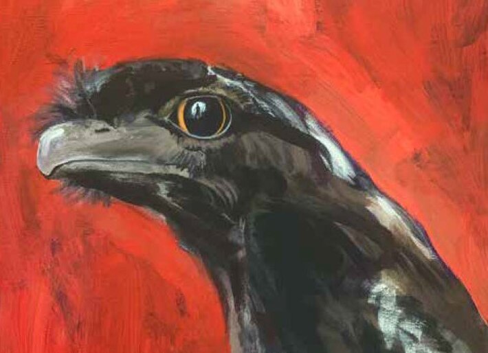 Birds of Bosworth Exhibition for SALA Art Festival at Battle of Bosworth