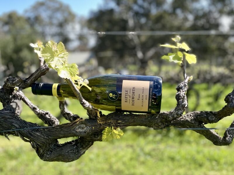 Battle of Bosworth organic McLaren Vale Fiano